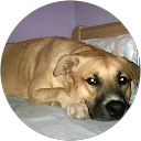 Eva G. profile picture